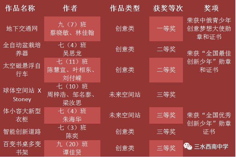 站群程序如何优化网站布局
